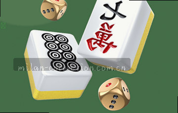 高效搜索 结构清晰